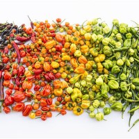 PEPERONCINO MIX